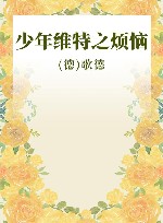 少年维特之烦恼