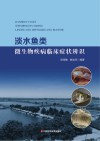 淡水鱼类微生物疾病临床症状辨识