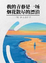 我的青春是一场烟花散尽的漂泊 封面
