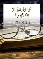 知识分子与革命