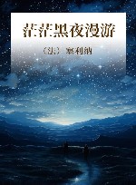 茫茫黑夜漫游