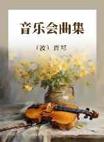 音乐会曲集
