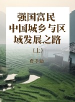 强国富民 中国城乡与区域发展之路  上