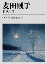 雅贼全集  麦田贼手