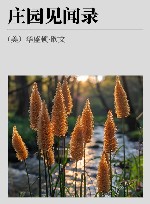 庄园见闻录