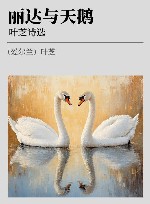 丽达与天鹅  叶芝诗选 封面