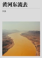 黄河东流去