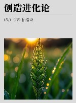 创造进化论封面