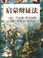 启蒙辩证法
