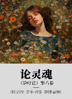 论灵魂《治疗论》  第6卷封面