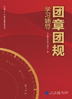 团章团规学习辅导