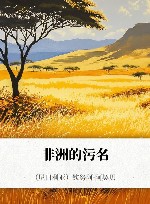 非洲的污名封面