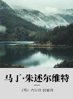 马丁·朱述尔维特