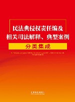 民法典侵权责任编及相关司法解释典型案例分类集成