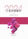 宁夏区情报告  2024  上