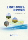 上海横沙东滩整治研究与实践