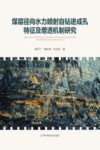 煤层径向水力喷射自钻进成孔特征及增透机制研究