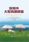 深圳市大型真菌图鉴