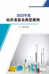 2023年度钻井液复杂典型案例封面