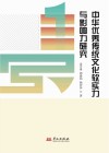 中华优秀传统文化软实力与影响力研究封面