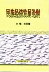 民族经济发展论纲封面
