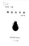 崛起的非洲封面