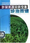叶菜类蔬菜病虫害诊治图谱