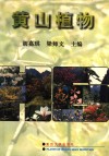 黄山植物