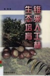 锥栗人工林生态培育封面