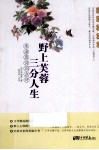 野上芙蓉，三分人生  朱淑真诗词点评