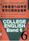大学英语六级考试专项训练综合指导封面