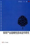 体育产业战略性资本运作研究