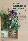 为了避免结束  你避免了一切开始