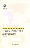 中国文化遗产保护与发展实践 封面