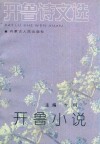 开鲁小说 封面