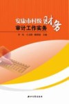 安康市村级财务审计工作实务