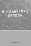 非线性泛函分析半序方法若干问题研究
