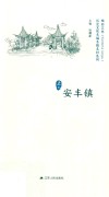历史文化名城名镇名村系列  安丰镇