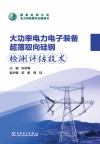 大功率电力电子装备超薄取向硅钢检测评估技术 封面