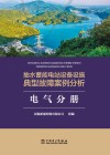 抽水蓄能电站设备设施典型故障案例分析  电气分册