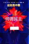 这就是中国  何谓民主
