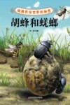 破解昆虫世界的秘密  胡蜂和蜣螂