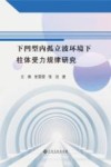 下凹型内孤立波环境下柱体受力规律研究