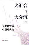 大汇合与大分流  大变局下的中国现代化 封面