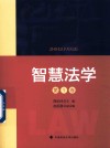 智慧法学  第1卷