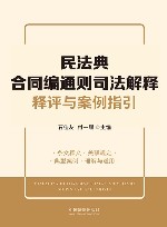 民法典合同编通则司法解释释评与案例指引