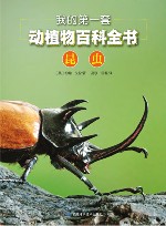 我的第一套动植物百科全书  3  昆虫 封面