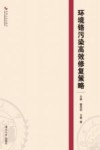 环境铬污染高效修复策略