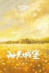 阳光城堡封面
