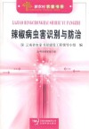 辣椒病虫害识别与防治